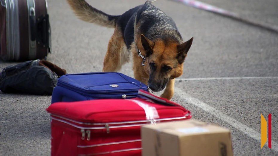 Что делать при обнаружении подозрительных предметов на улице