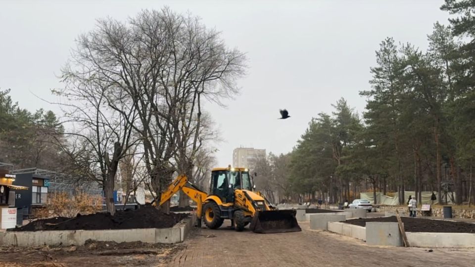 Реконструкцию парка «Танаис» в Воронеже могут завершить в 2027 году