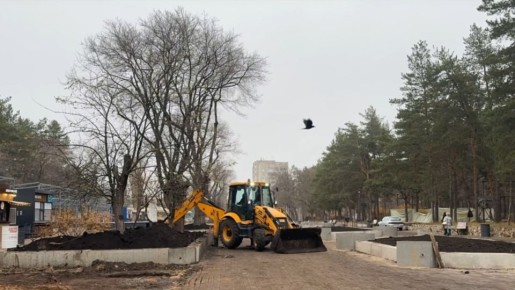 Реконструкцию парка «Танаис» в Воронеже могут завершить в 2027 году