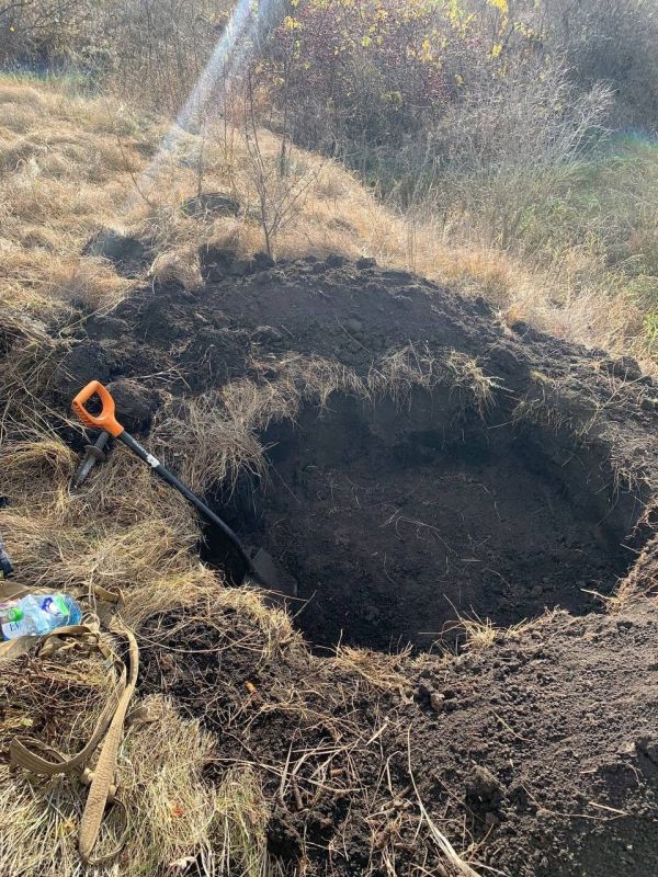На окраине села Каверье Рамонского района нашли останки красноармейца, пропавшего в 1943 году
