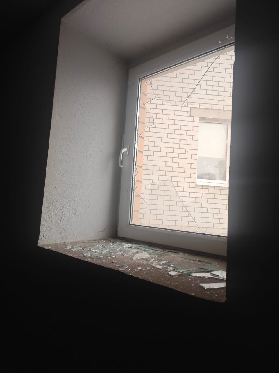 «Стреляли, кричали, били окна»: неадекватная пара устроила погром в Воронеже «Стреляли, кричали, били окна»: неадекватная пара устроила погром в Воронеже