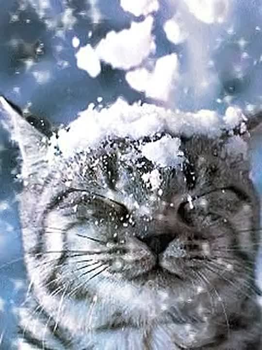 В Москве уже в эти выходные ждут настоящую зиму