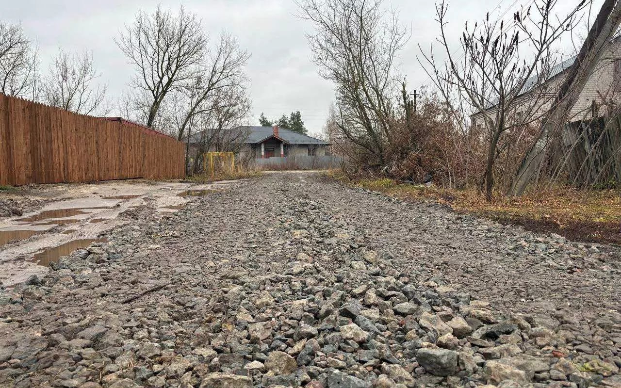 На территории Каширского района зафиксировали второй в 2025 году случай заражения бешенством