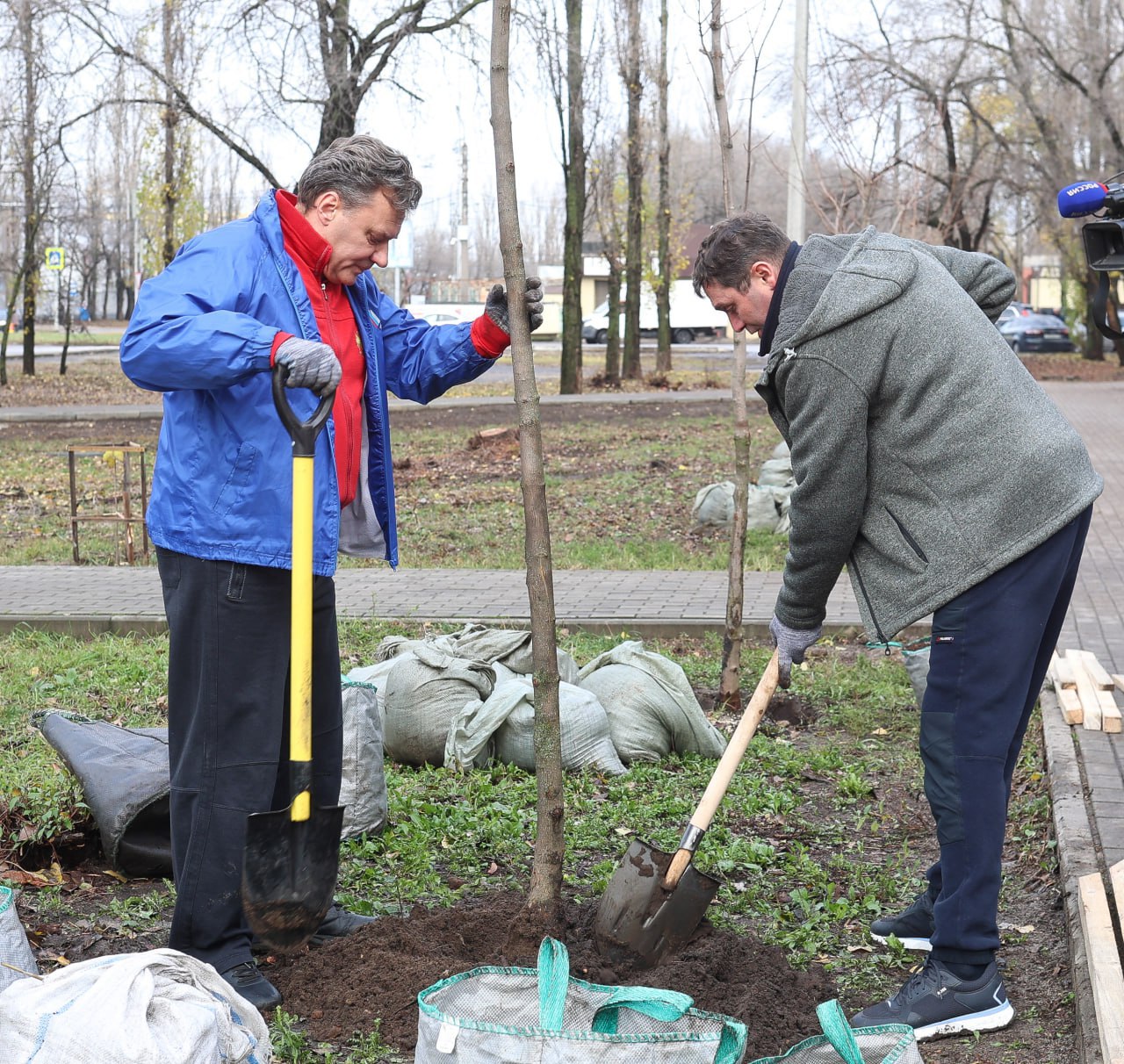 Осеннее озеленение Воронежа подходит к завершению Осеннее озеленение Воронежа подходит к завершению