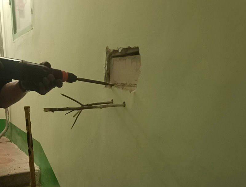 В Воронеже спасли кота, застрявшего в стене дома В Воронеже спасли кота, застрявшего в стене дома