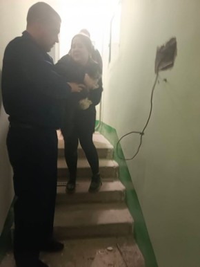 Замурованного котика достали из стены в Воронеже