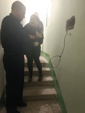 В Воронеже спасли кота, застрявшего в стене дома