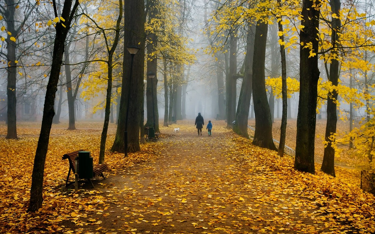Воронежцы, проявите терпение: непогода с ежедневными дождями и лужами пока диктует свои правила — из-за этого пропадает настроение
