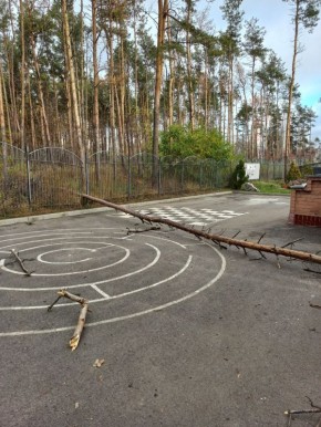 Год назад воронежцы били тревогу из-за деревьев, предупреждая, что они могут упасть на территорию детсада №185
