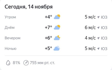 А тем временем до зимы осталось две недели