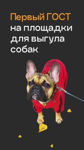 Росстандарт утвердил ГОСТ на обустройство площадок для выгула собак