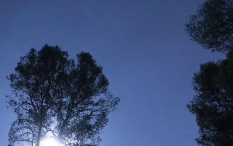 Воронежской области угрожают беспилотные летательные аппараты Вооруженных сил Украины