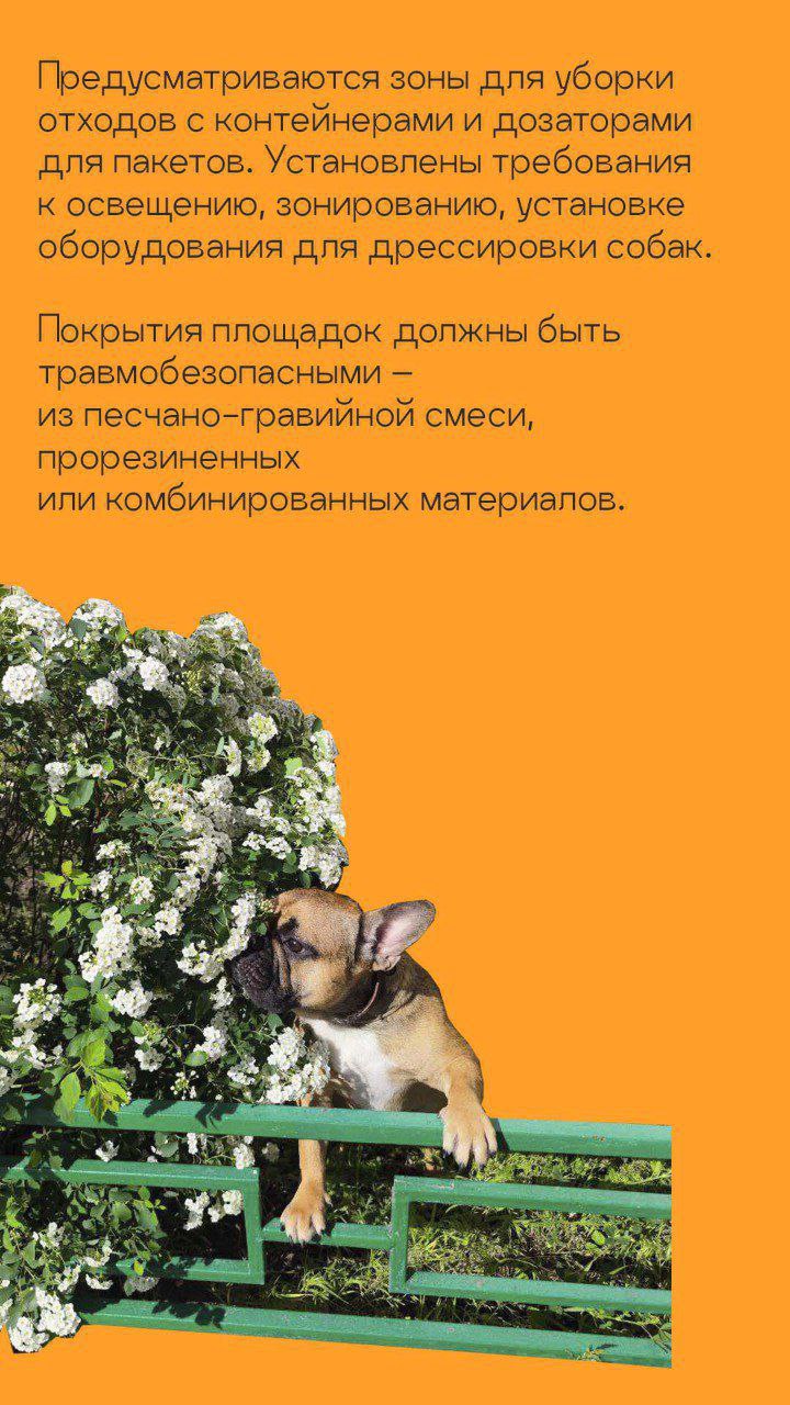 Росстандарт утвердил ГОСТ на обустройство площадок для выгула собак Росстандарт утвердил ГОСТ на обустройство площадок для выгула собак