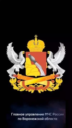 Пресс-служба воронежских пожарных и спасателей от лица всего ведомства поздравляет начальника Главного управления Александра Кошель с 55-летием!