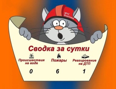 Оперативная сводка за сутки