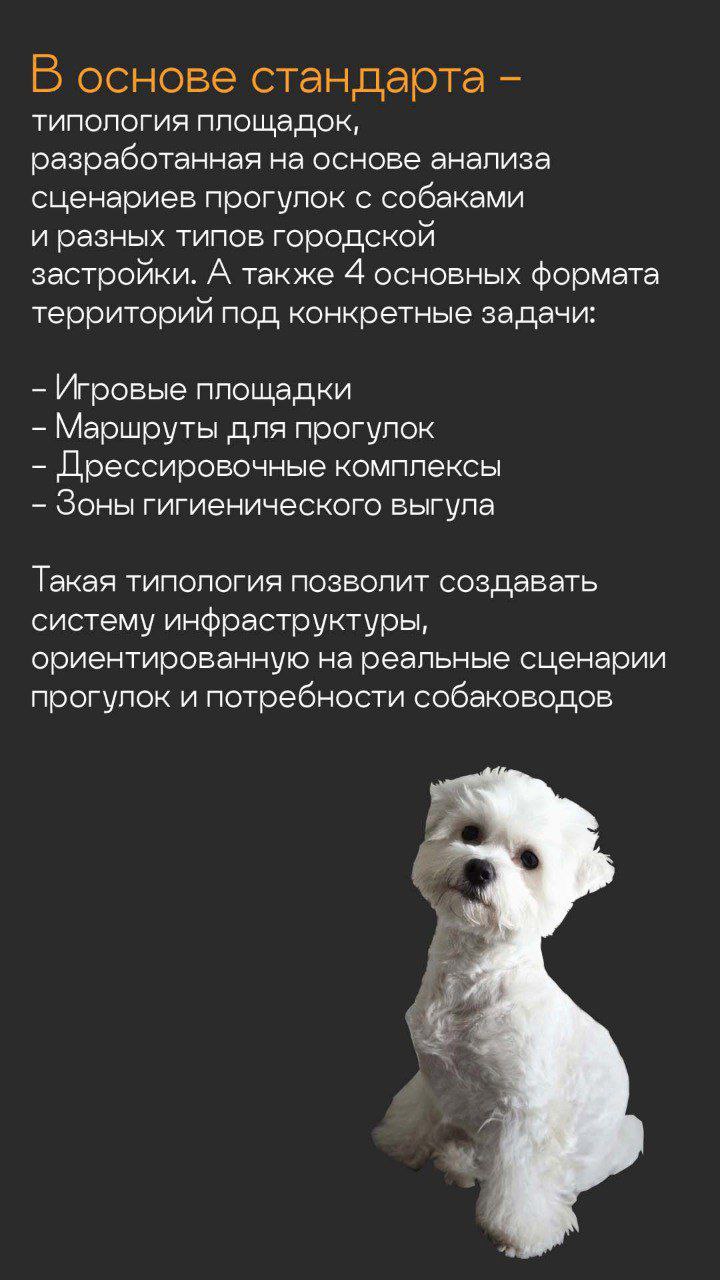Росстандарт утвердил ГОСТ на обустройство площадок для выгула собак Росстандарт утвердил ГОСТ на обустройство площадок для выгула собак