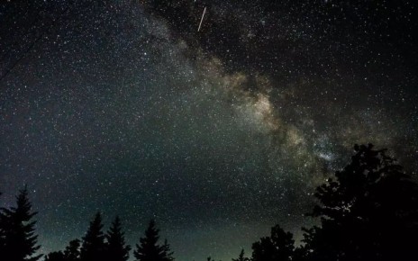 Самый мощный в уходящем году метеорный поток Леониды смогут увидеть жители Воронежской области