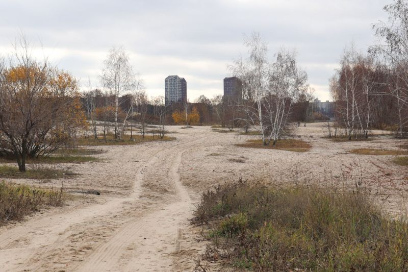 Прогулочная зона появится на левобережной набережной Воронежа