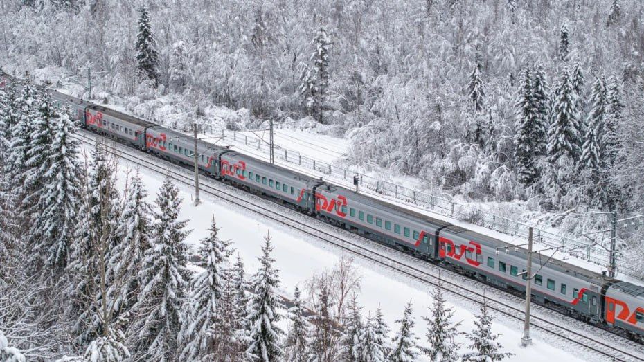 Из Москвы в Воронеж на Новый год пустят дополнительные поезда