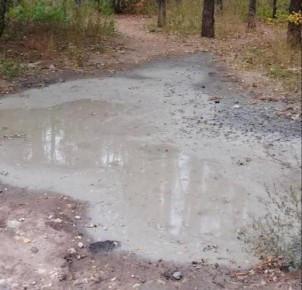 Воронежская полиция нашла виновного в сливе бетона в Северном лесу