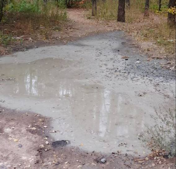 Воронежская полиция нашла виновного в сливе бетона в Северном лесу