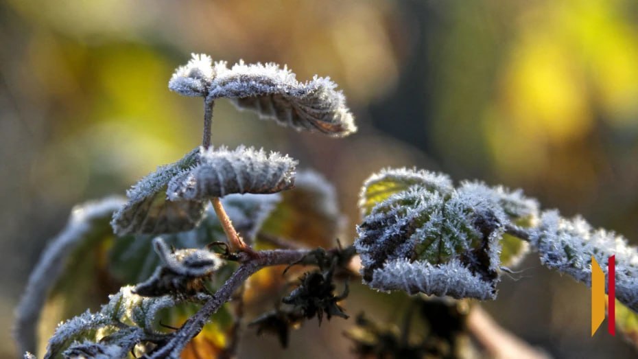 В Воронежской области ожидаются заморозки до -3 градусов в ночь на 20 ноября