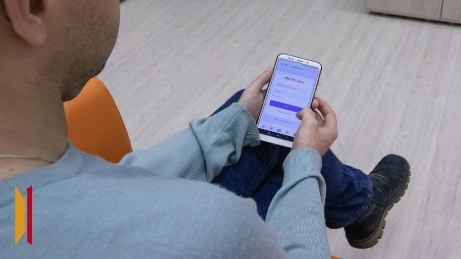 Вход только через российские сервисы: воронежцам рассказали о новом законопроекте