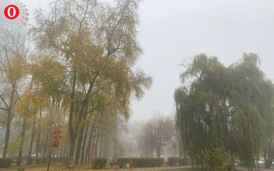 Желтый уровень погодной опасности ввели в Воронежской области