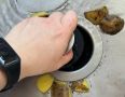 Измельчитель пищевых отходов: как он изменил жизнь на кухне и состояние канализации