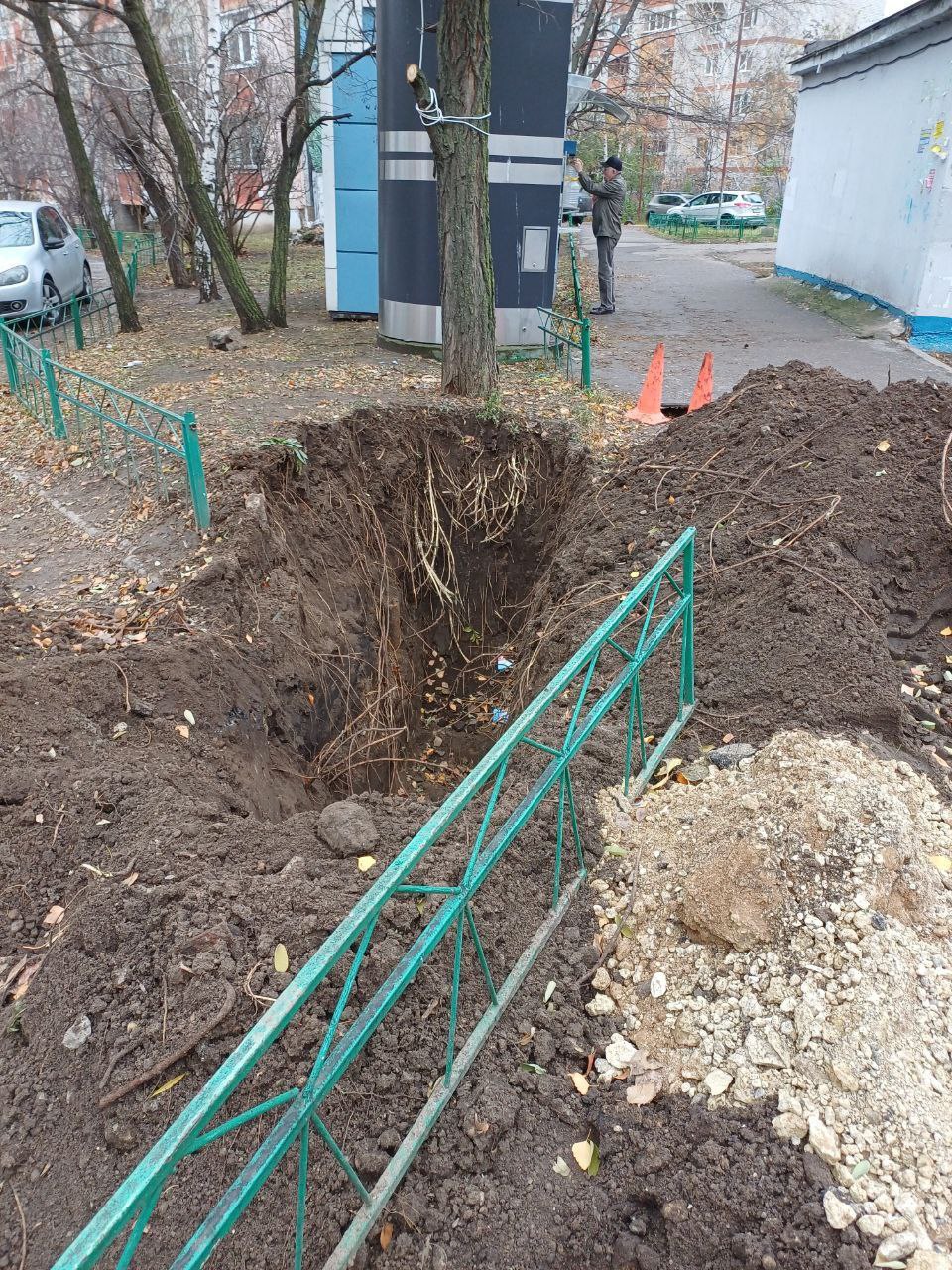 Владимира Невского, 15. Вот так у нас обходятся с деревьями, корни акации повреждены ковшом