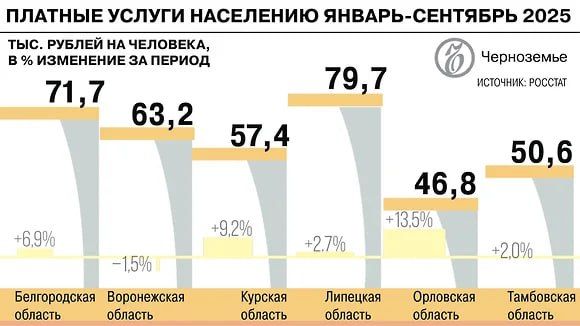 Рынок платных услуг в Черноземье вырос на 4,3% за три квартала 2025 года