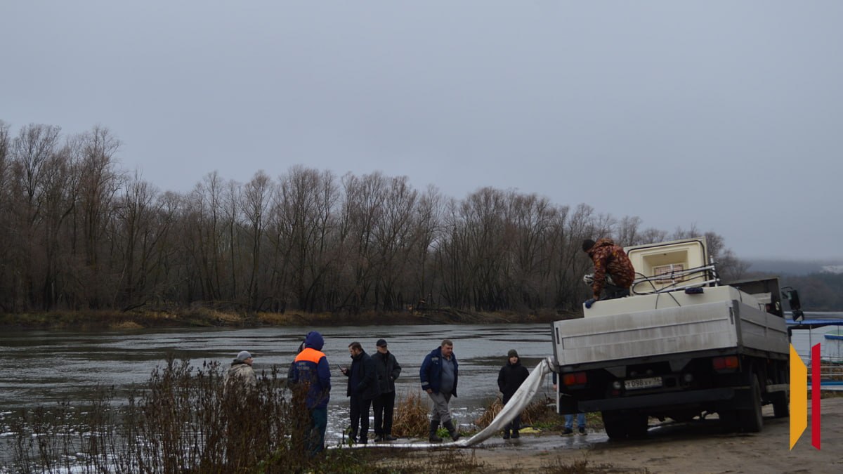 В Воронежской области выпустили в Дон около 240 тыс мальков сазана В Воронежской области выпустили в Дон около 240 тыс мальков сазана