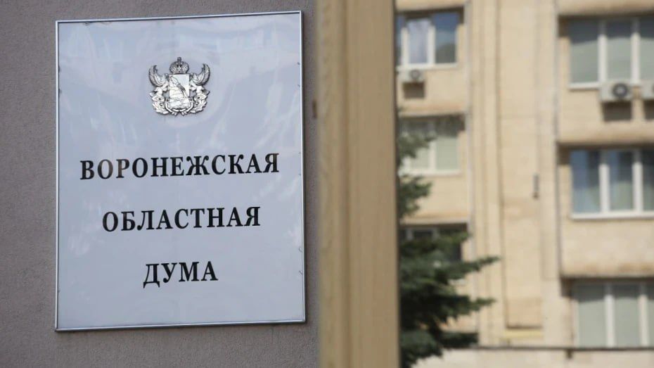 Студенты университетов и колледжей войдут в Молодежный парламент Воронежской области