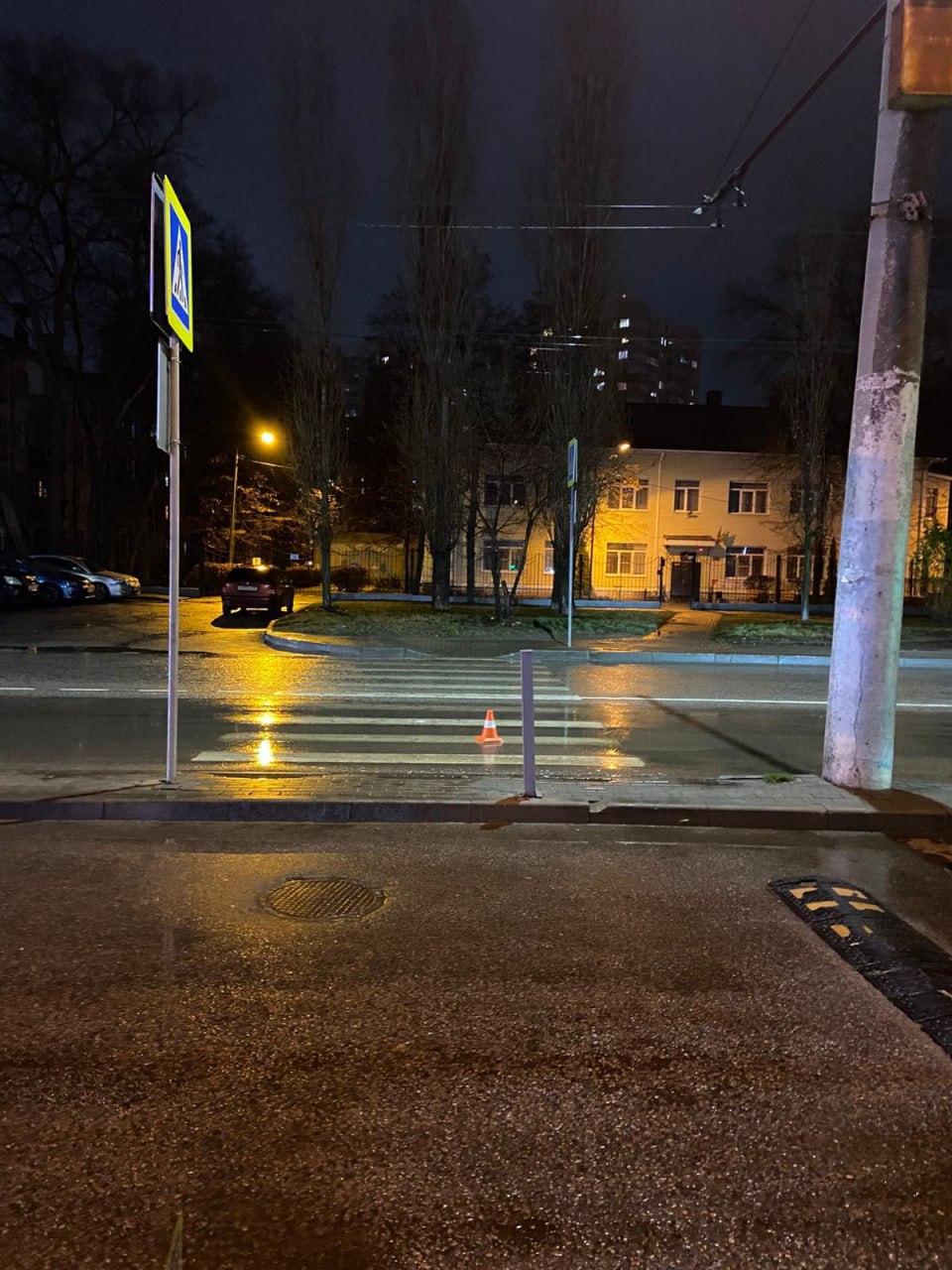 Школьницу сбили на пешеходном переходе в Воронеже