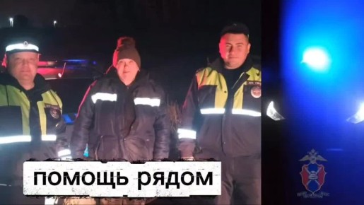 «Тихая охота» едва не закончилась трагедией: спасли заблудившуюся в лесу женщину автоинспекторы в Воронежской области