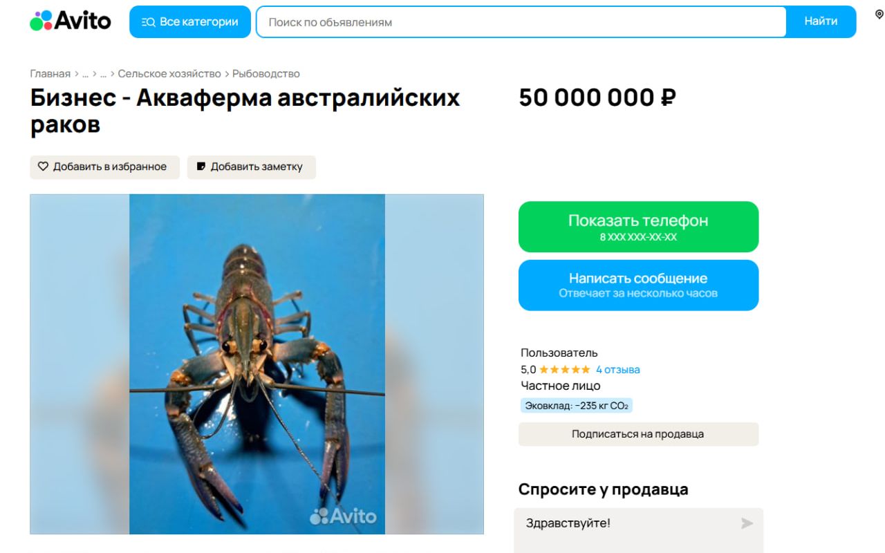 Продолжает стремительно дешеветь акваферма по разведению австралийских раков, расположенная в пригороде Воронежа