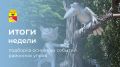 Итоги недели: 6 самых интересных событий районных управ