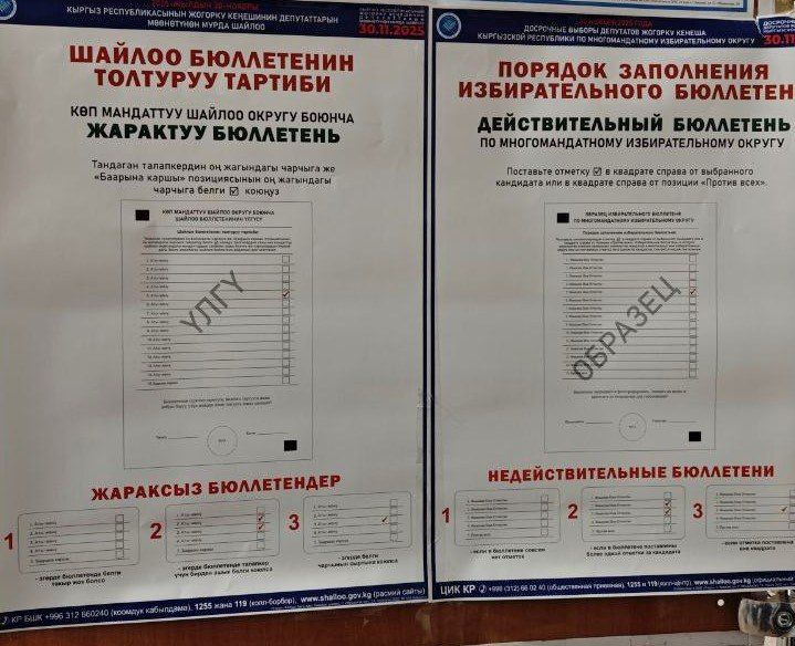 Председатель облизбиркома Илья Иванов в составе делегации посетил избирательный участок, образованный в г. Воронеже для проведения выборов депутатов Жогорку Кенеша Кыргызской Республики Председатель облизбиркома Илья Иванов в составе делегации посетил избирательный участок, образованный в г. Воронеже для проведения выборов депутатов Жогорку Кенеша Кыргызской Республики