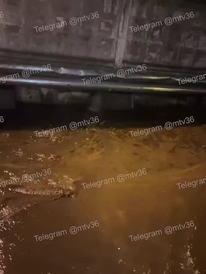 В Воронеже затопило улицу Лидии Рябцевой