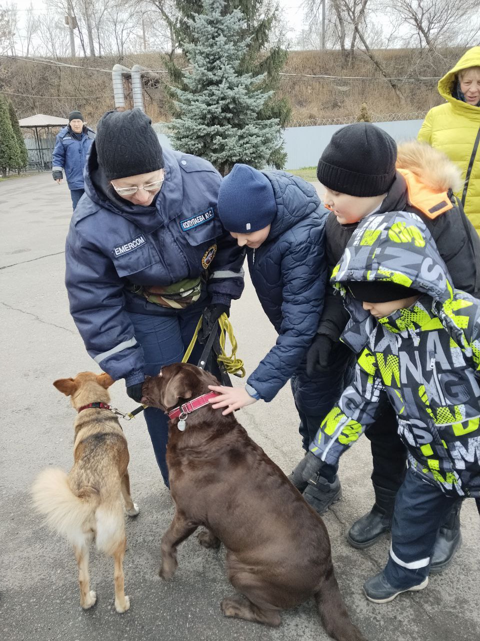 Воспитанники Воронежской академии спортивных единоборств побывали в гостях городских спасателей Воспитанники Воронежской академии спортивных единоборств побывали в гостях городских спасателей