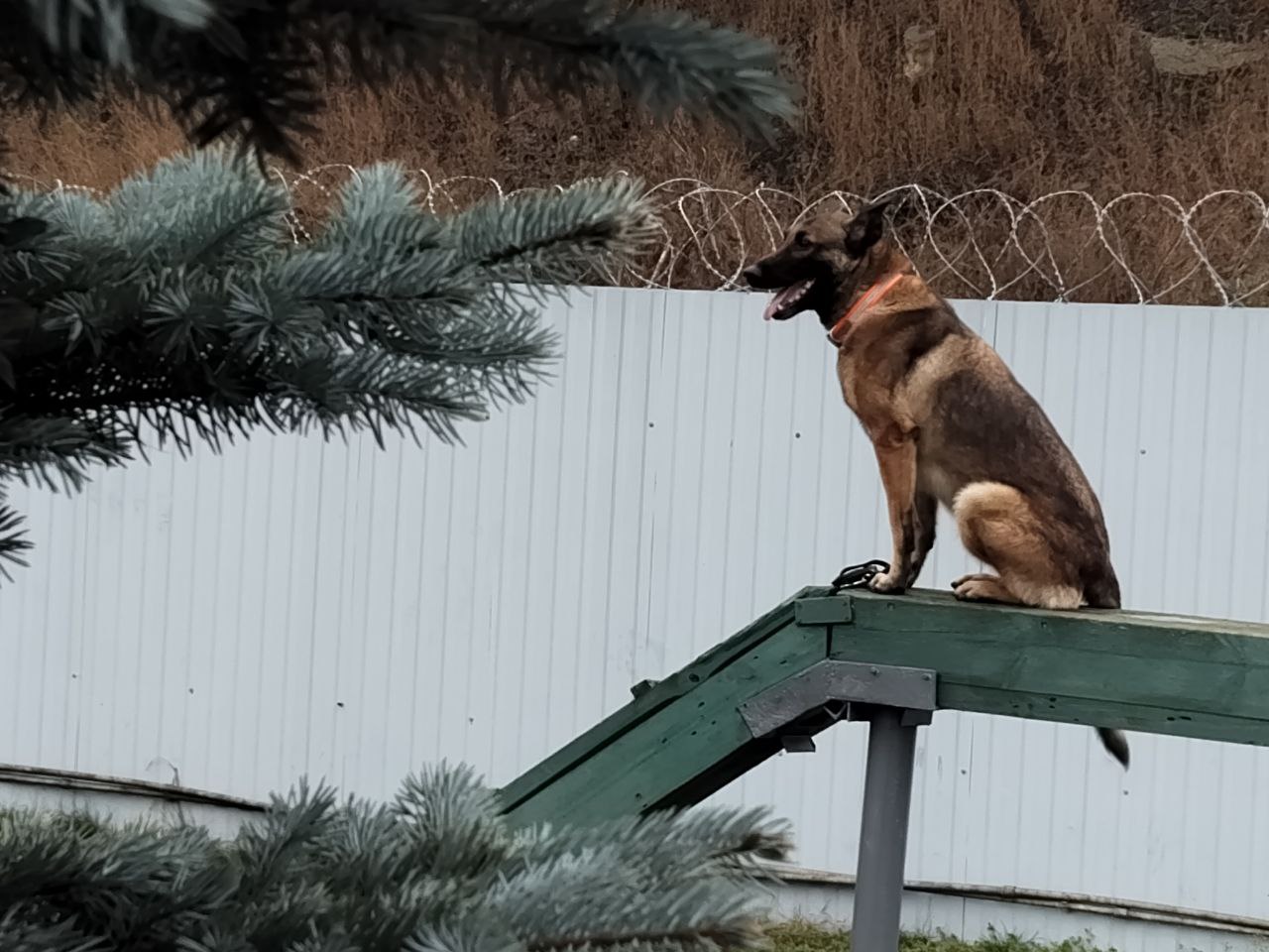 Воспитанники Воронежской академии спортивных единоборств побывали в гостях городских спасателей Воспитанники Воронежской академии спортивных единоборств побывали в гостях городских спасателей