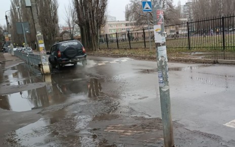 Жители Воронежа пожаловались на утечку воды