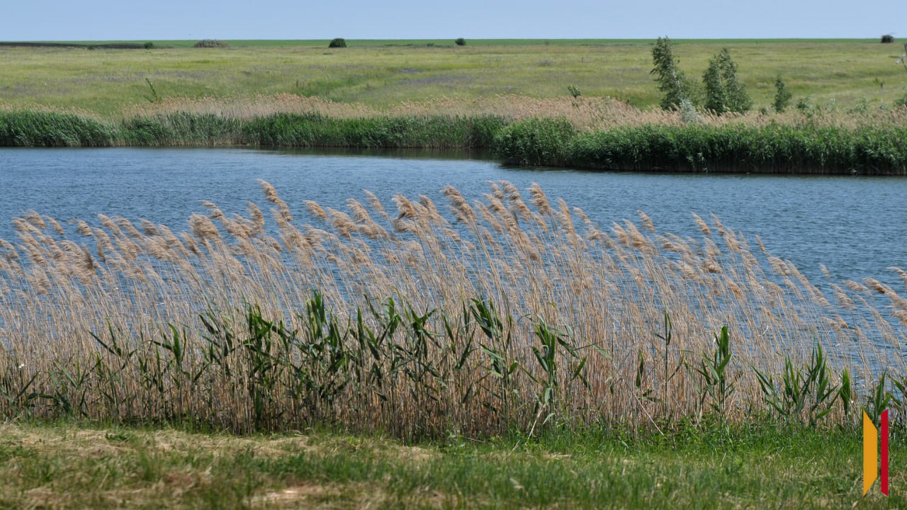В Воронежской области спрогнозировали глобальное потепление