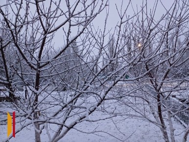 В Воронежской области за ночь выпал долгожданный снег