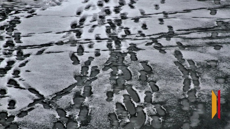 На Воронежском водохранилище скоро появится лед