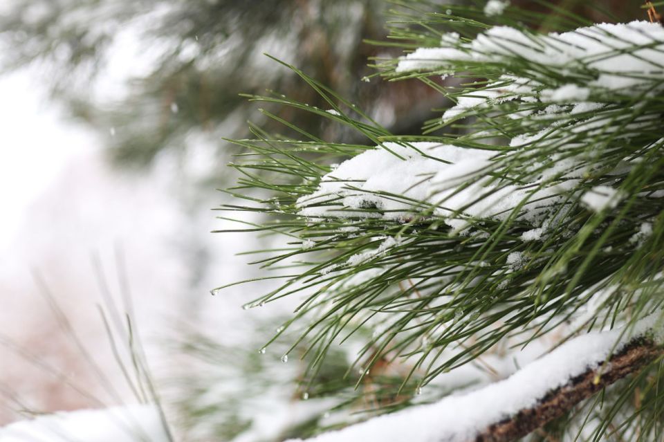 ������! ������������ ����� ����������� � "�������" � �������� ���