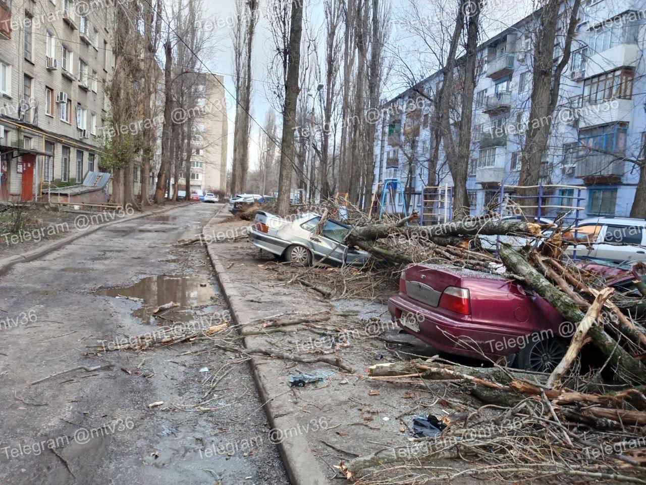 В Воронеже упавшие из-за сильного ветра деревья и карниз разбили стекла и несколько автомобилей В Воронеже упавшие из-за сильного ветра деревья и карниз разбили стекла и несколько автомобилей