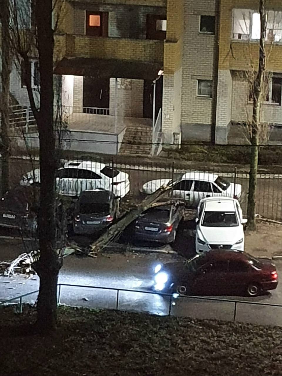 В Воронеже упавшие из-за сильного ветра деревья и карниз разбили стекла и несколько автомобилей В Воронеже упавшие из-за сильного ветра деревья и карниз разбили стекла и несколько автомобилей