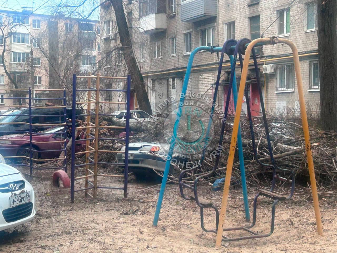 В Воронеже упавшие из-за сильного ветра деревья и карниз разбили стекла и несколько автомобилей В Воронеже упавшие из-за сильного ветра деревья и карниз разбили стекла и несколько автомобилей