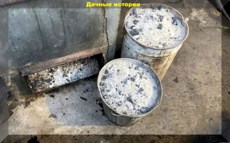 Секреты использования золы: как не ошибиться при внесении в саду